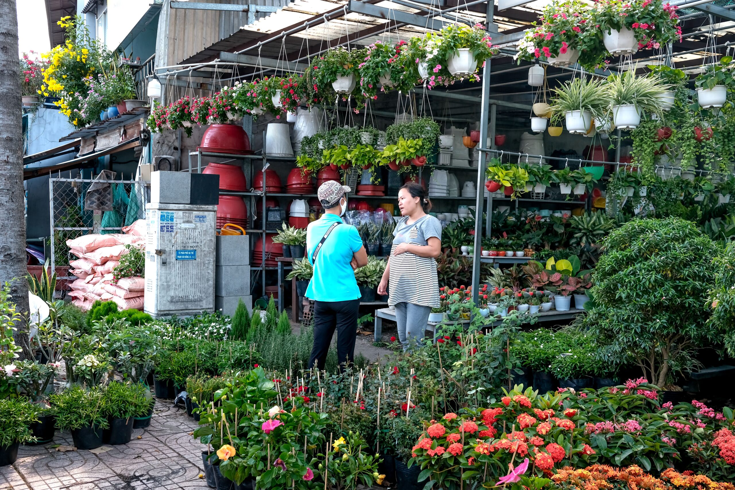 Vibrant flower shop with diverse plants and two women engaged in conversation.